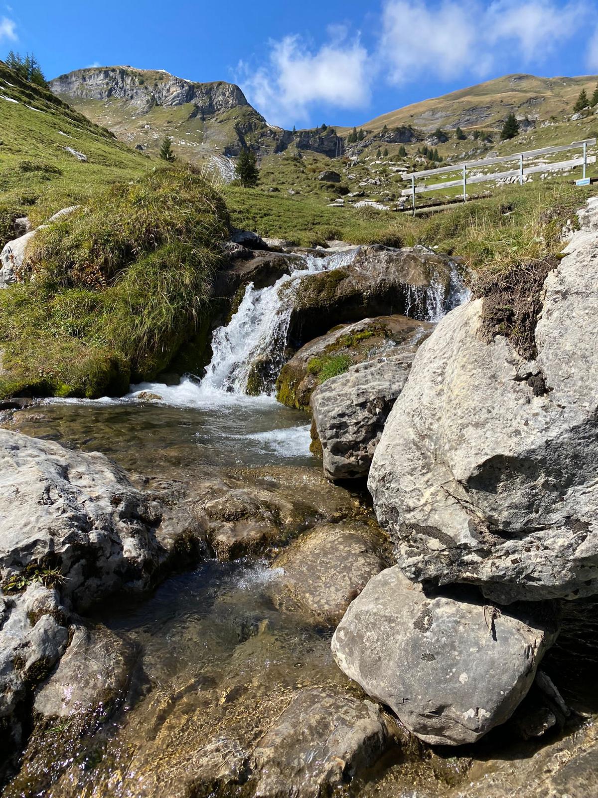 LevelUp - Lenk Lodge - 2021